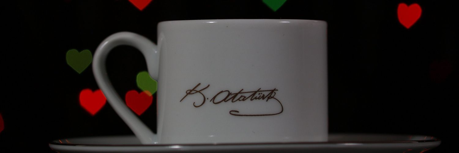 Ö.Cem Güley banner
