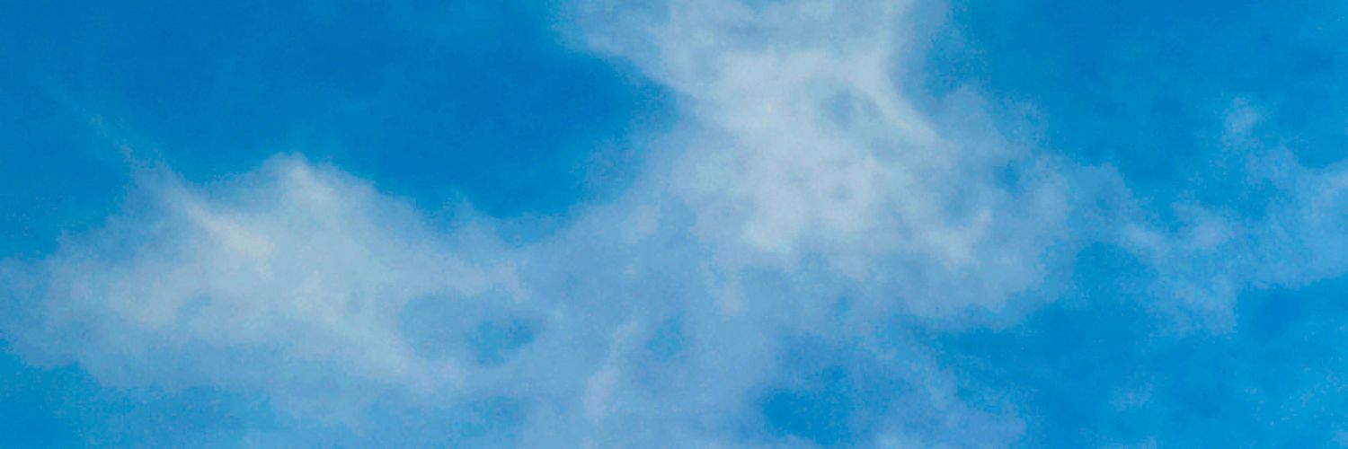 dotidho's profile banner image