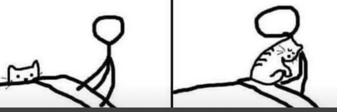 emmataquet's profile banner image