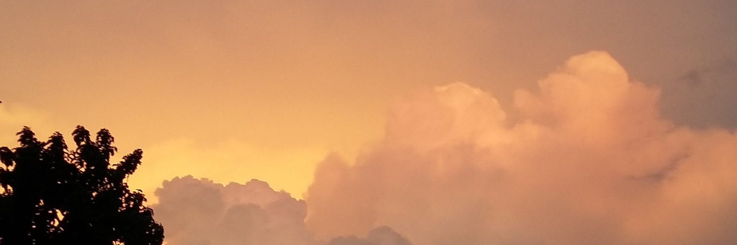 Megan_Pam's profile banner image