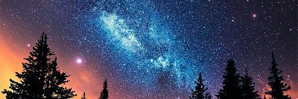KorneevaAnn's profile banner image