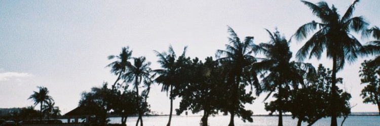 chuheocon 🤣 e banner