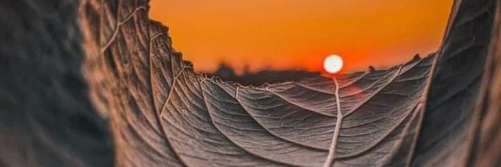 Vicky banner