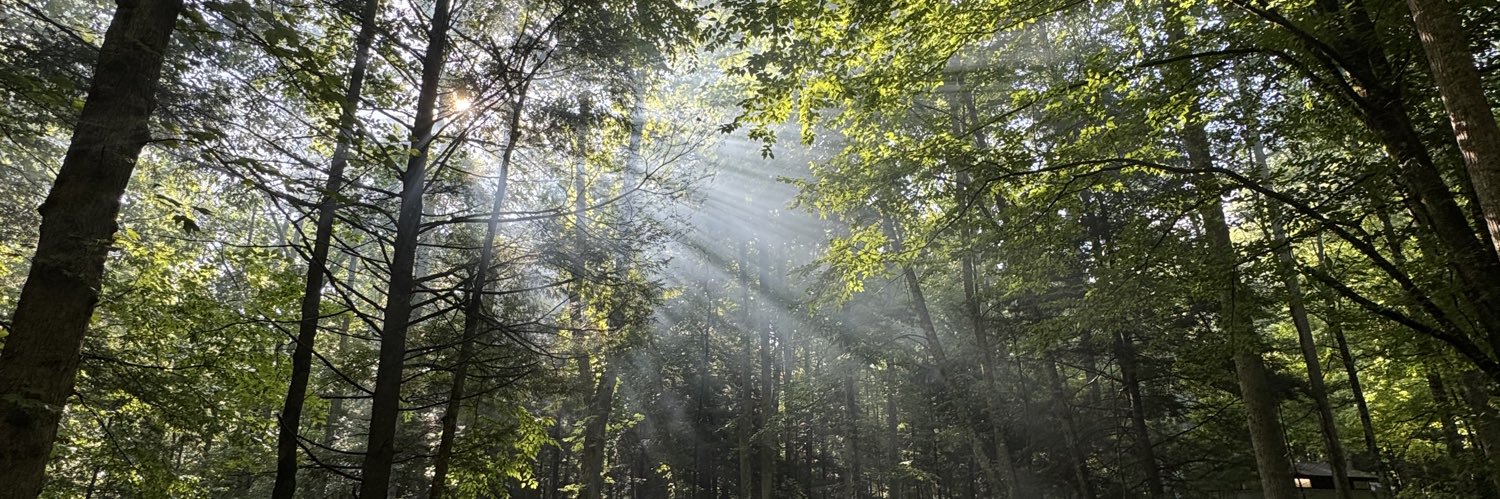 Steve Wilson 🐻 banner