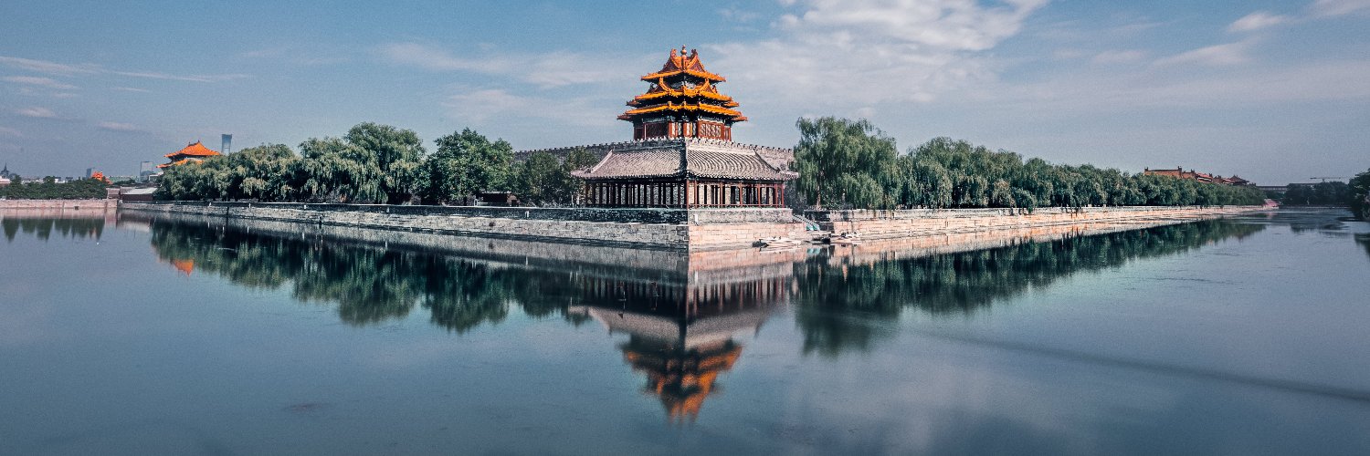 Will Wang banner