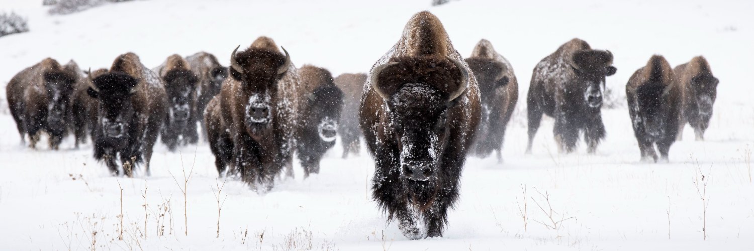 philmont's profile banner image