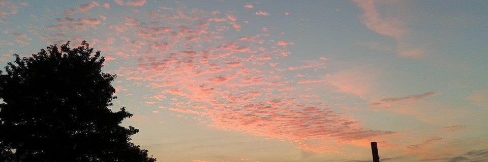 Joseph Lavelle banner