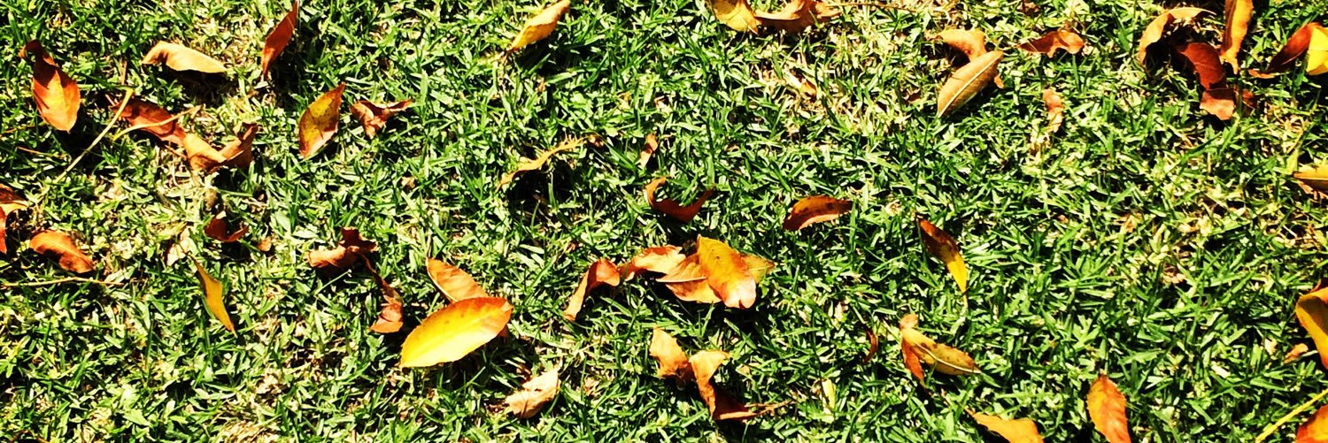 LebohangMolefe's profile banner image