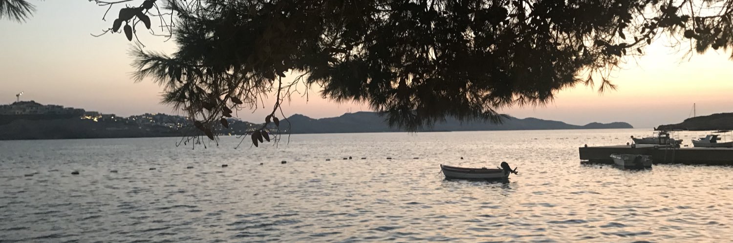 Özlem Özüner banner