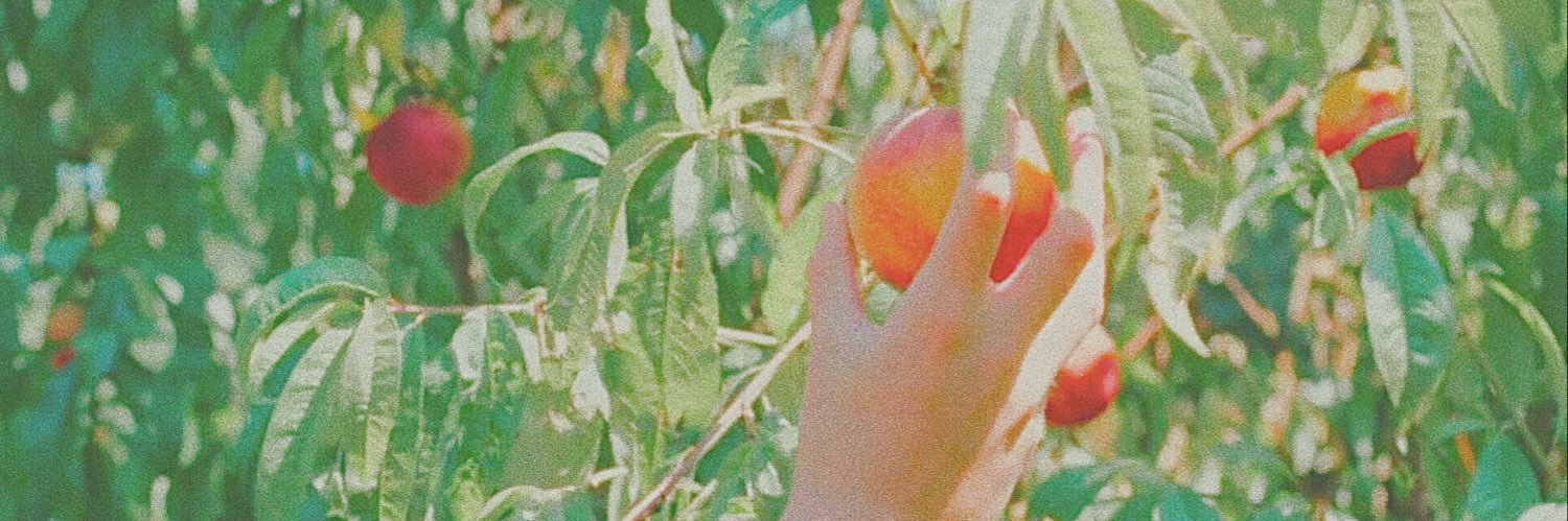 deercher's profile banner image