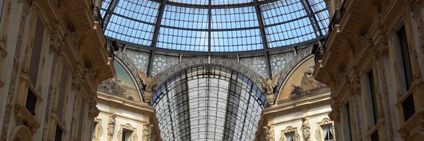 mamil55 Profile Banner