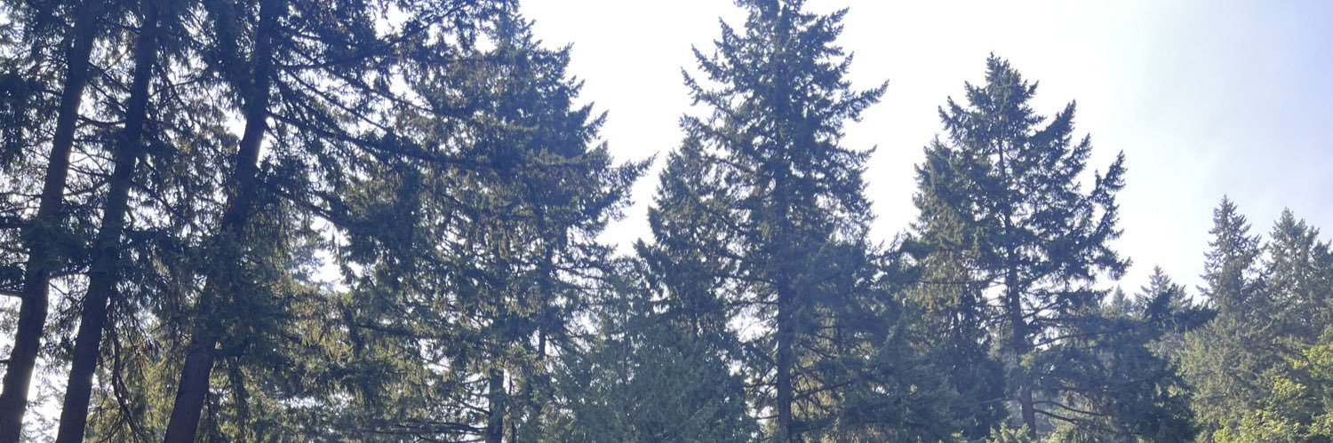 deeanncarol's profile banner image