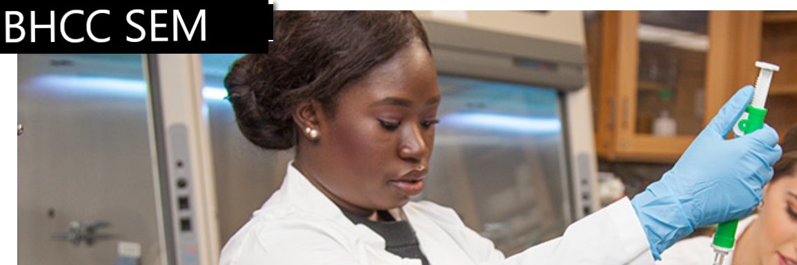 BHCC SEM Division banner