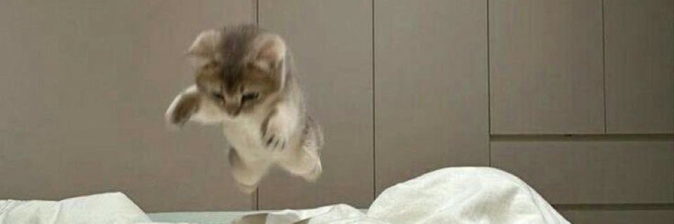 かわぼ担当👾🐊ྀི👑💋【Banshee】 banner