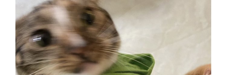 fruityydream's profile banner image