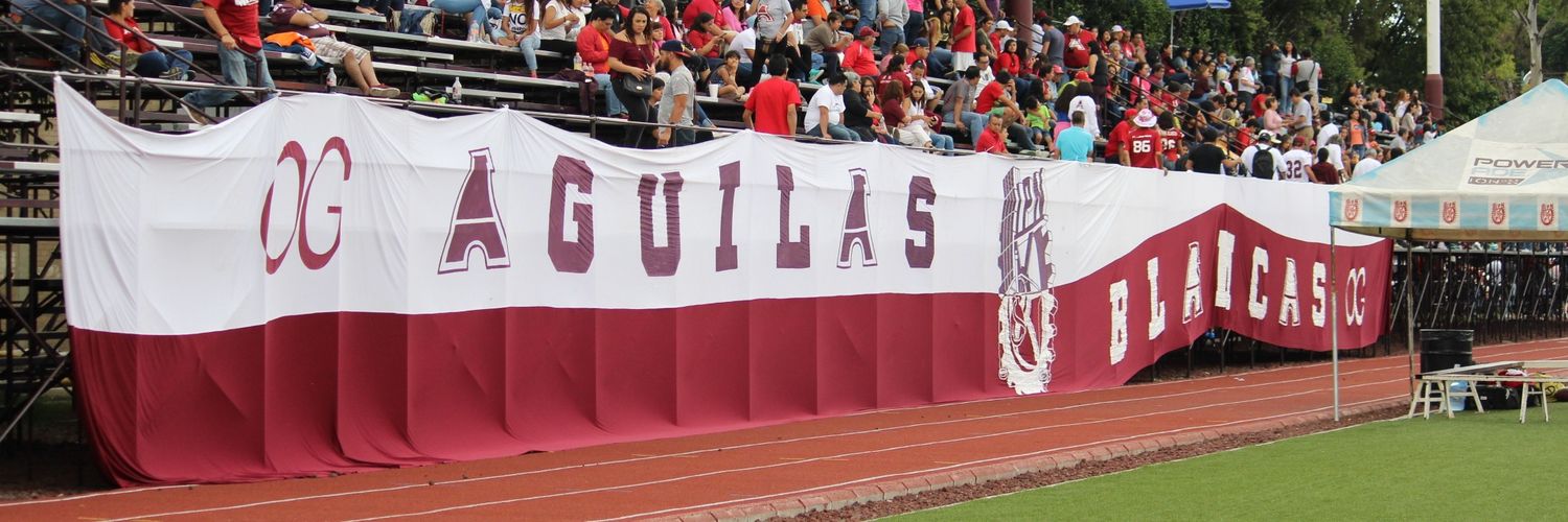 OrgulloGuindaOficial banner