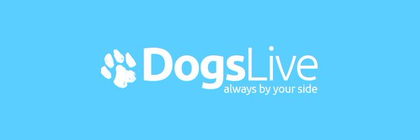 DogsLiveNI Profile Banner