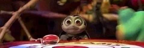 🎀 cachorrita 🎀 banner