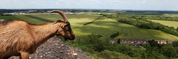 vdnbruay Profile Banner