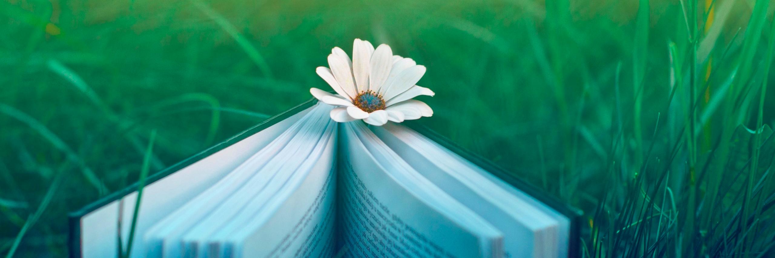 Crystal Morgan banner