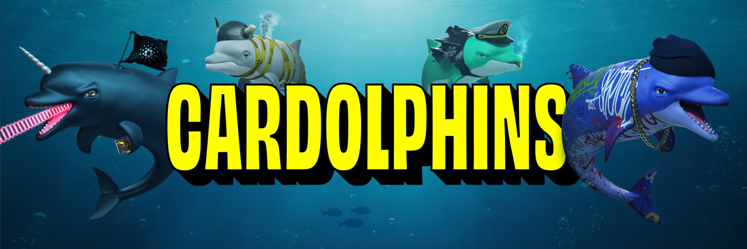 Cardolphins🐬 Profile Banner