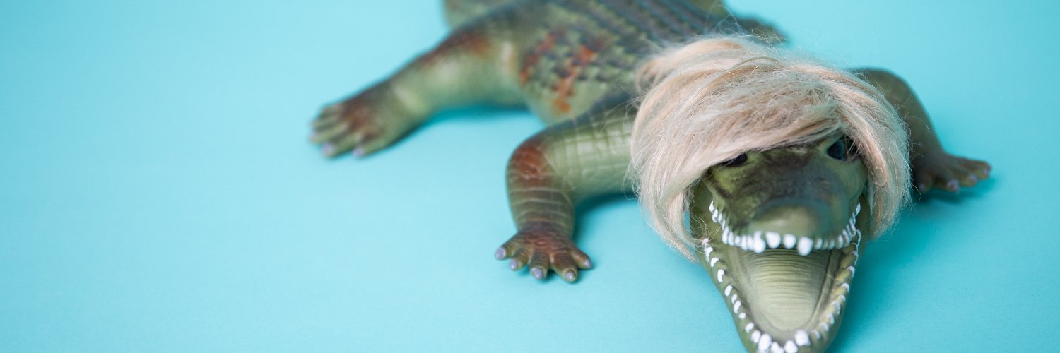 Cali Harris 🐊 banner
