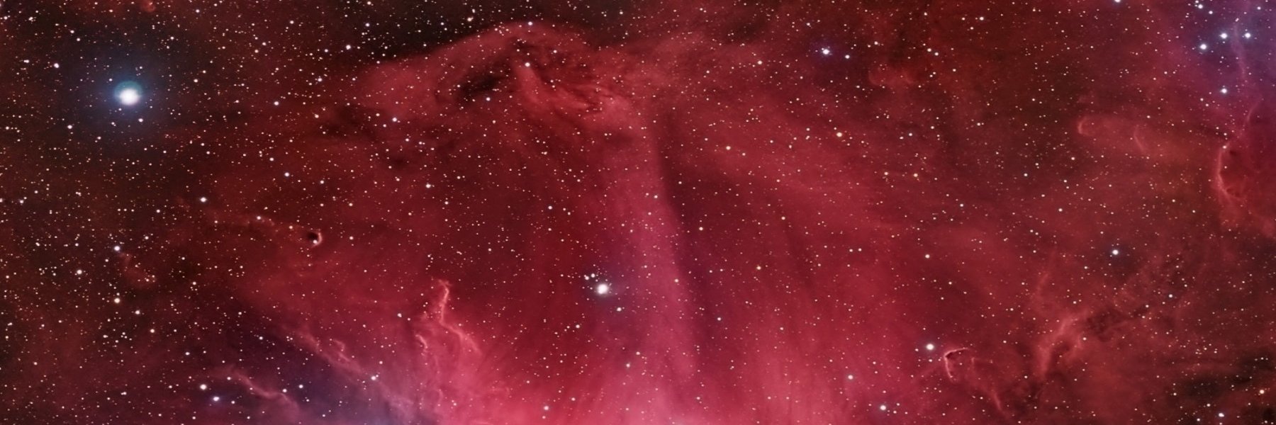 CrimsonElation's profile banner image