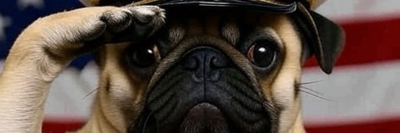 gayleTime's profile banner image