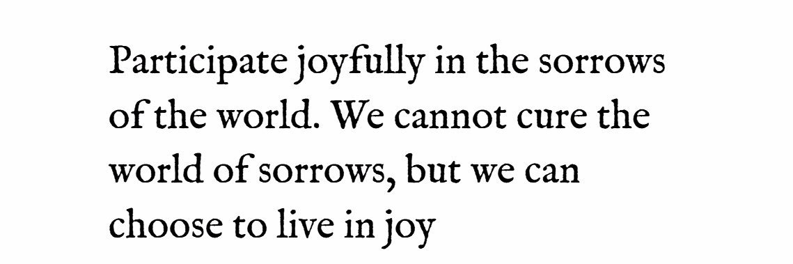 Austra Javalde banner