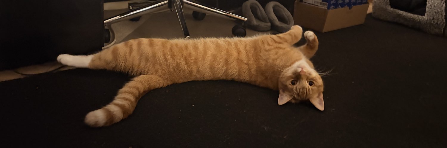 Michael Berry banner