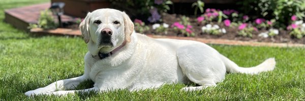joeclancy65 Profile Banner