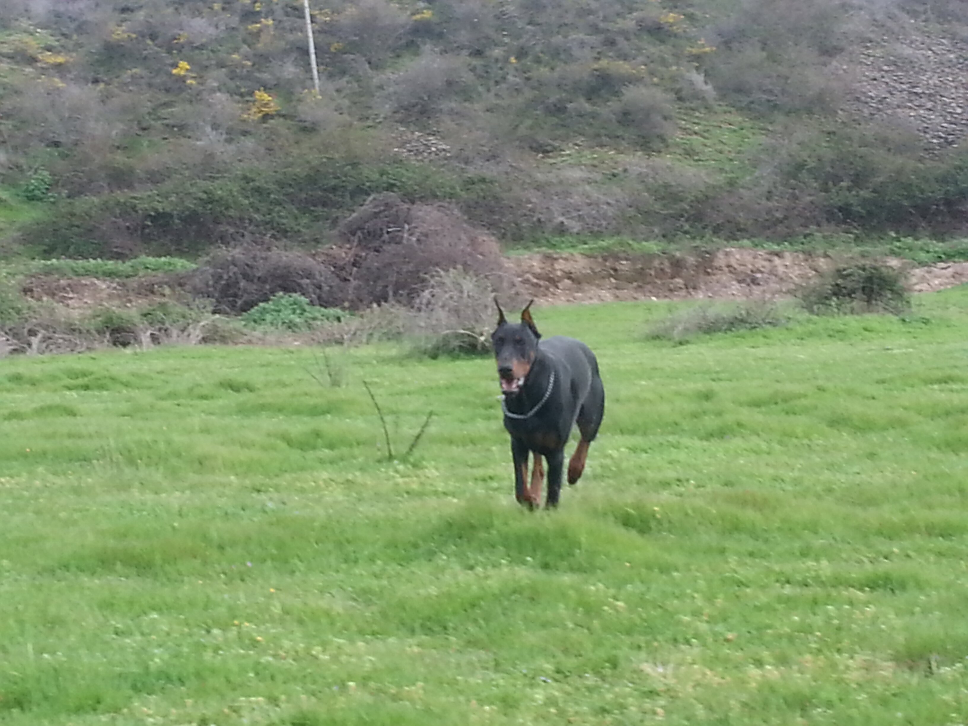 Cesar Echavarri banner