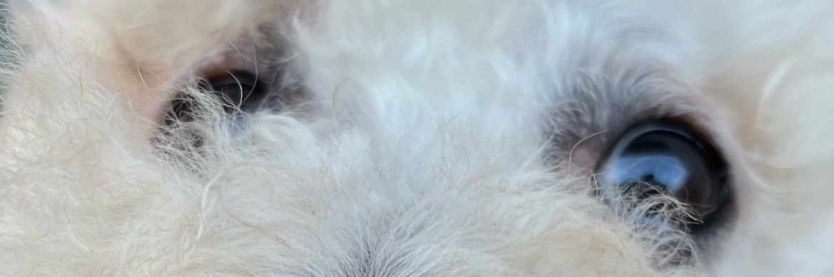 ValentBlanco's profile banner image