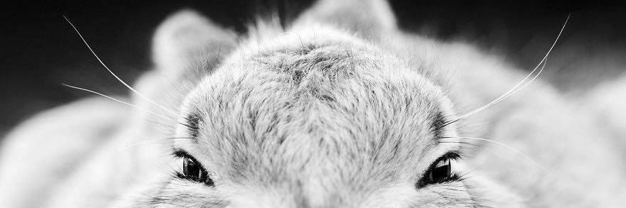 l2omthira's profile banner image