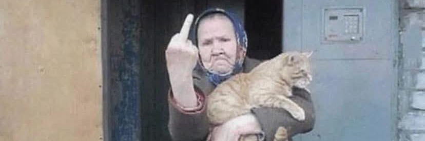 writnkitten ❤️‍🔥 banner