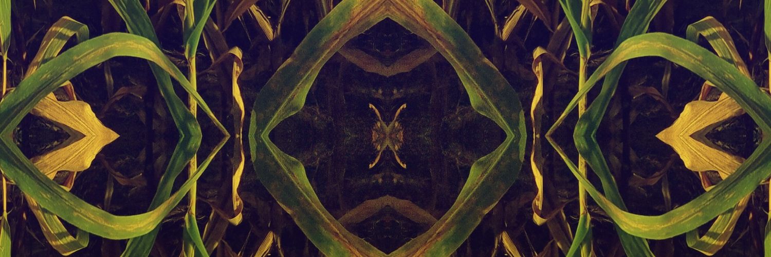 CornographyNFT's profile banner image