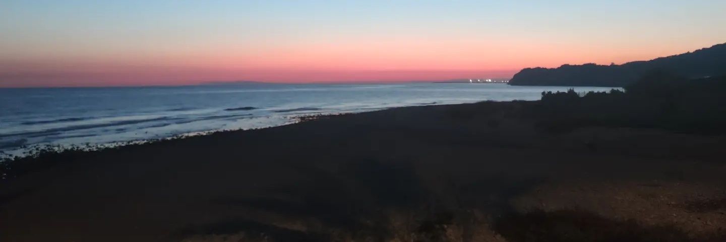 Jonathan R Delicado banner