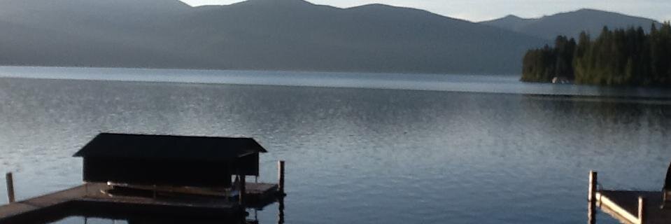 msweeny's profile banner image