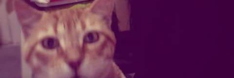 maryo_hm's profile banner image