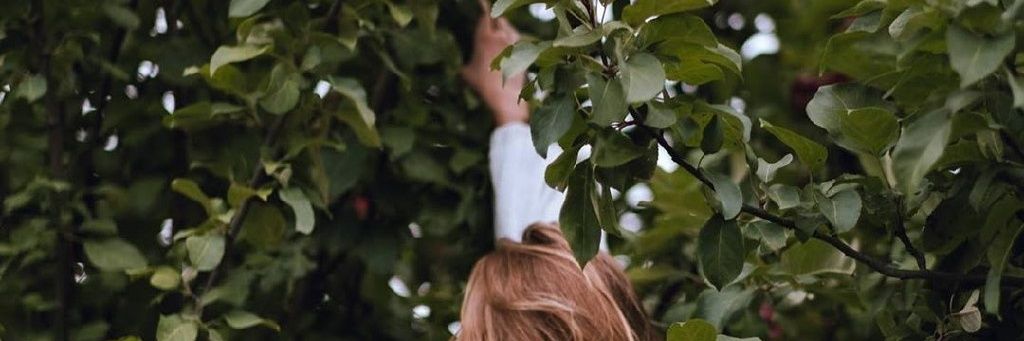 MarthaWickson's profile banner image