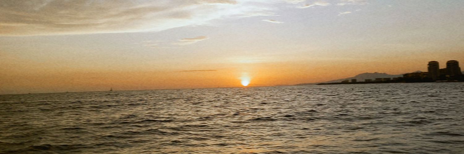 whotfscamisa's profile banner image