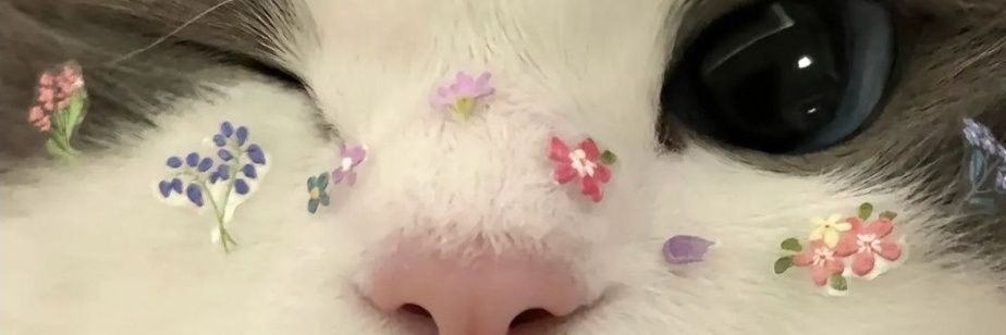 havenshaded's profile banner image