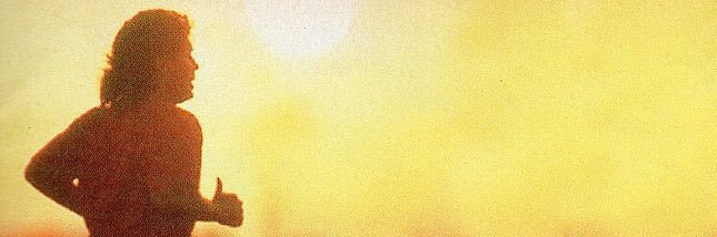 Lebrov's profile banner image
