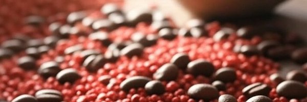 XtesBrewCoffee Profile Banner