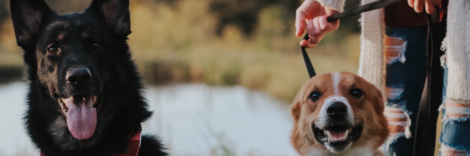 Jake_Jones__'s profile banner image