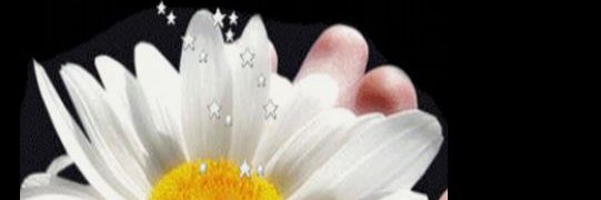 marleinebb's profile banner image