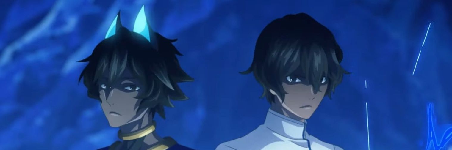 PL banner