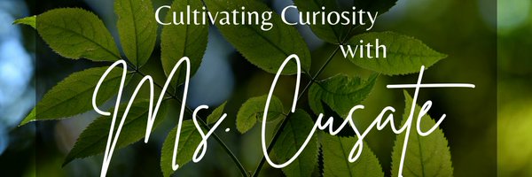 CusateNicolette Profile Banner
