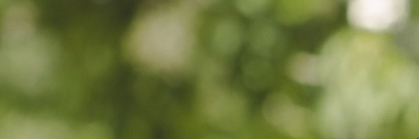 zynrelic1 Profile Banner