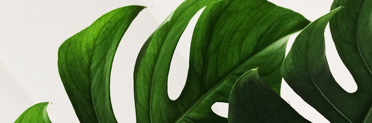 JennaAllen's profile banner image